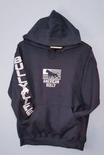 Load image into Gallery viewer, Hoodie: American Bully Flag with Bully Life Arm (Multi Color Sparkle Fill & Pink Embroidery)
