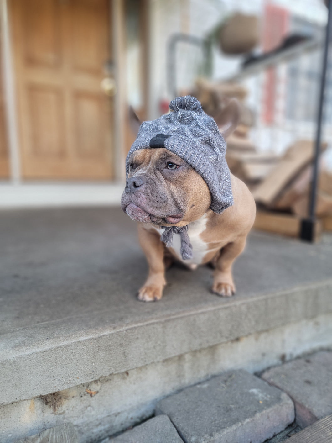 Winter Hat Size Large Only