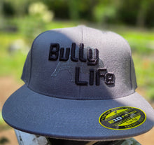 Load image into Gallery viewer, Gray embroidered Bully Life fitted cap

