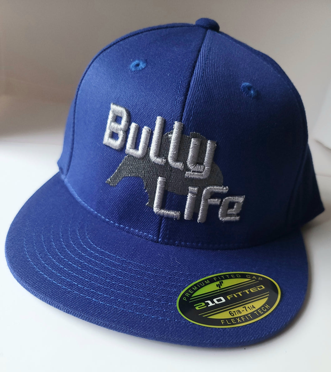 Fitted Ball Cap: Bully Life